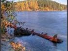 Аракуль