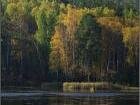 Аракуль