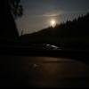  - Mihail_p