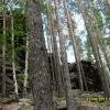  - Игорь Колегов