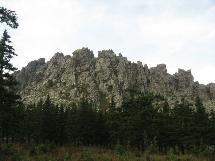 Откликной гребень