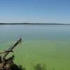 Когда вода цветет