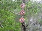 Запреты