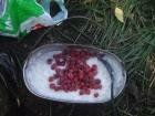 Наш завтрак