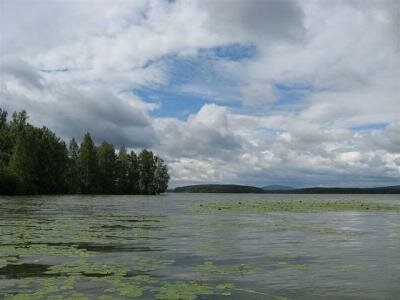 Сунгуль Сунгуль