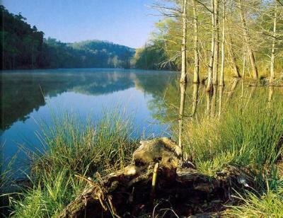 Карагайкуль Карагайкуль